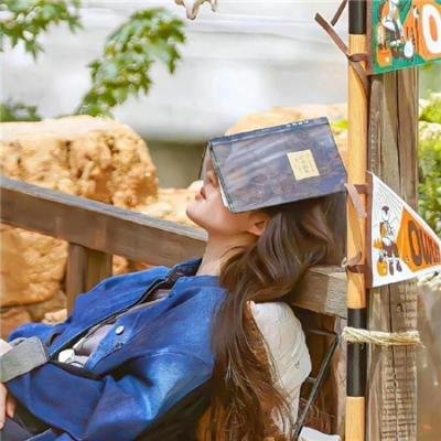双面名模